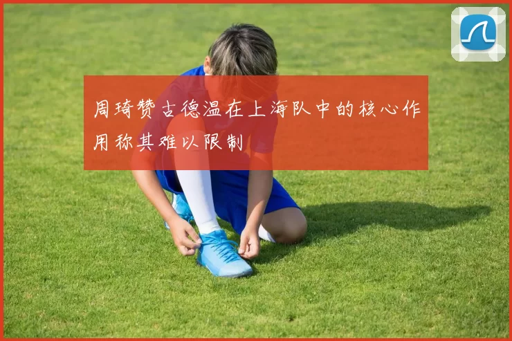 周琦赞古德温在上海队中的核心作用称其难以限制