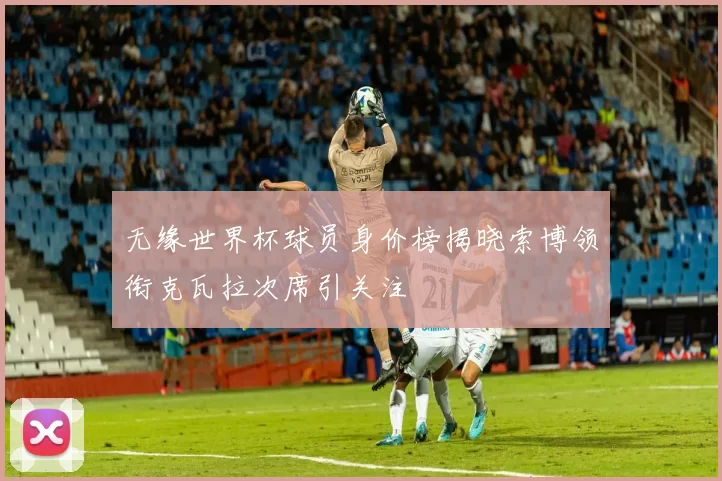 无缘世界杯球员身价榜揭晓索博领衔克瓦拉次席引关注