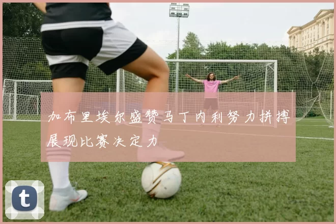 加布里埃尔盛赞马丁内利努力拼搏展现比赛决定力